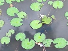 -海南文笔峰盘古文化旅游区
