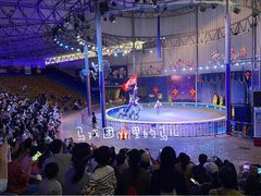 -深圳野生动物园