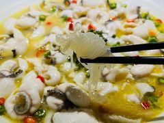 -青花椒花椒鱼(合生汇店)