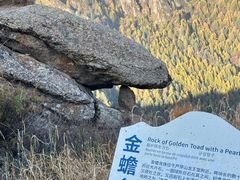 -芦芽山旅游度假区
