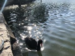 -茵特拉根酒店·西餐厅