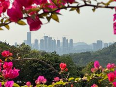 -深圳仙湖植物园