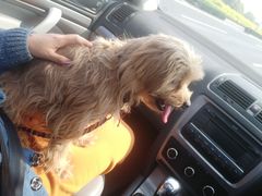 -佳百利宠物(荣乐中路115弄小区店)