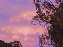 -后海