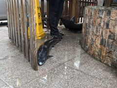-胖姐渔村(中源大道店)