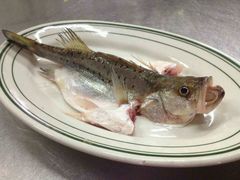 -八仔大富楼·河鲜(西江店)