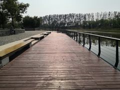 -东郊湿地公园