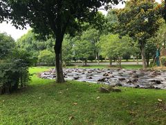 -上海鲜花港