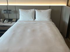 -东方美谷JW万豪酒店·The lounge大堂吧