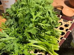 -湊湊火锅·茶憩(皇姑万象汇店)