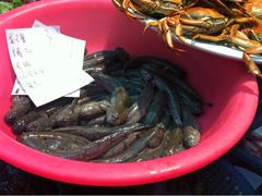 iphone_upload_pic-老三鱼仔店