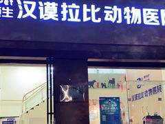 -宠颐生汉谟拉比宠物医院