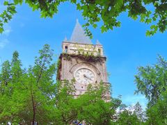 -张坝桂圆林公园