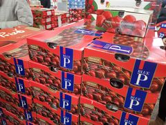-西郊国际农产品交易中心