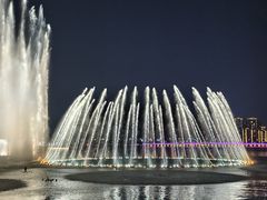 -金鸡湖景区