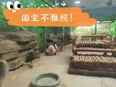 -灵玲国际马戏城