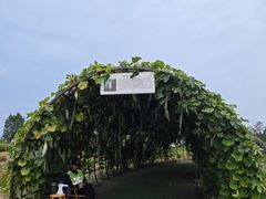 -中国天府农业博览园