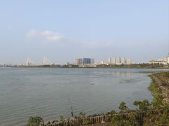 -万绿园