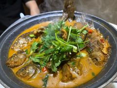 -徽州月·民间徽菜(浦东总店)