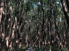 -同里国家湿地公园