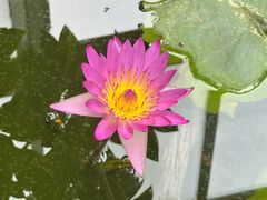 -国家植物园南园