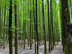 -山王坪喀斯特国家生态公园