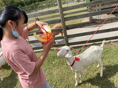 -前小桔亲子创意农场·草莓采摘·露营烧烤