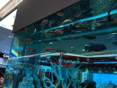 -崇光百货(铜锣湾店)