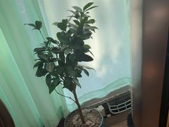 -慢丽江·云南野生菌土鸡锅(西山店)