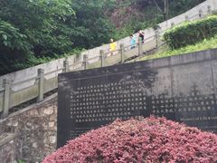 -金钉子远古世界景区