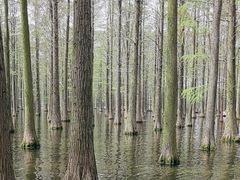 -渌洋湖湿地公园