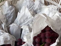 -马陆小张葡萄园农家乐