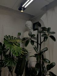 -飛凡TATTOO纹身•原创