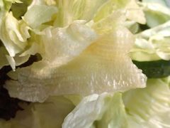 -泰谷酒店·太古码头闽菜自助餐厅