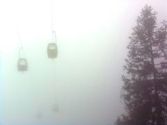 -东天目山风景区