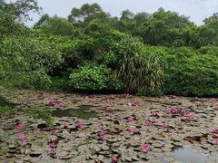 -白沙门生态公园