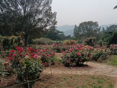 -国家植物园南园