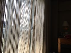 -新加坡瑞士史丹福酒店