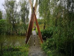 -桤木河湿地公园