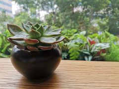 -Peet's Coffee皮爷咖啡(大学路店)