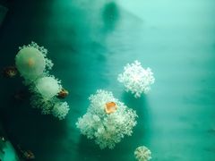 -福州罗源湾海洋世界旅游区