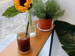 -red donkey coffee