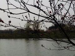 -苏州太湖国家湿地公园