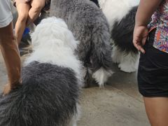 -TrueLove @ Neverland (Husky Cafe)