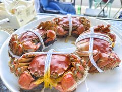 -品鲜村农家菜·阳澄湖大闸蟹(总店)