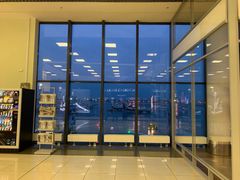 -谢列梅捷沃国际机场