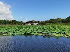 -上海海湾国家森林公园