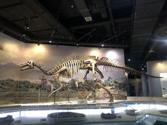 -辽宁古生物博物馆