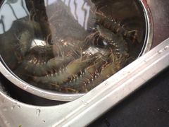 -众彩物流水产市场