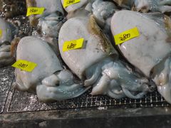 -南纪白浜Toretore市场